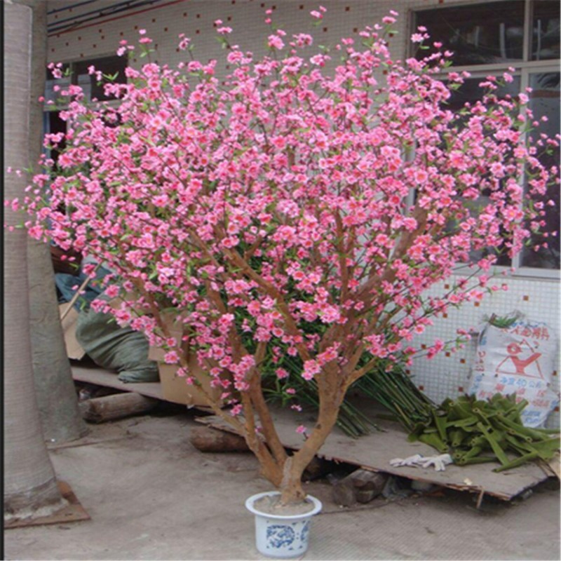 カスタム型の人工盆栽盆栽ツリーのホーム桜の木発売-人工樹木問屋・仕入れ・卸・卸売り