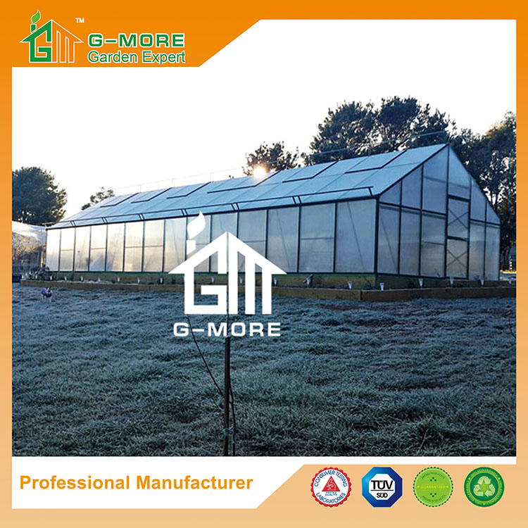 G- もっとタイタン/グランジシリーズ、 5メートル幅/14メートル長さ、 超強力なアルミニウム/10mm大規模な商業ポリカーボネート温室( gm32514- b)-温室問屋・仕入れ・卸・卸売り