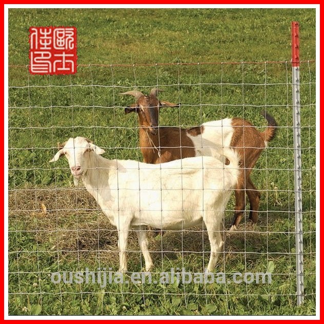 動物の塀(Factory&Exporter)-フェンス、トレリス、ゲート問屋・仕入れ・卸・卸売り