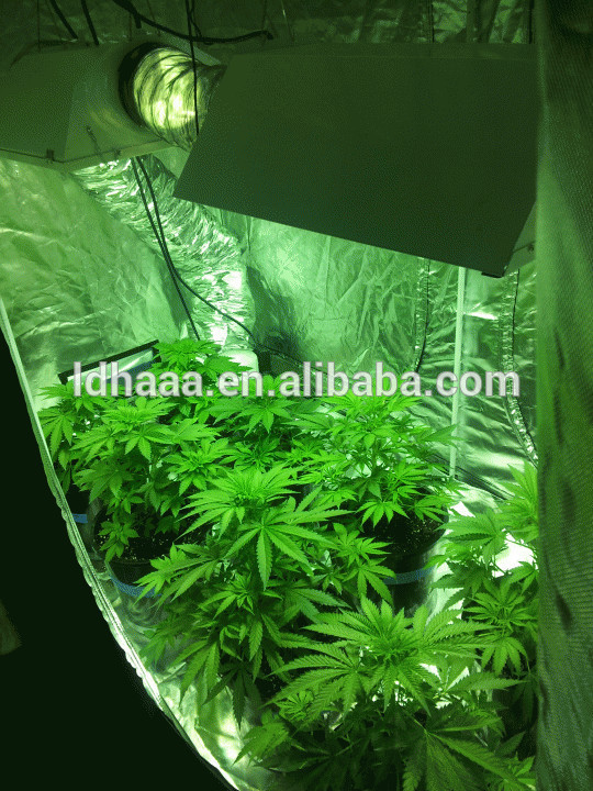 の温室効果は、 ボックスの植物が成長するled水耕栽培用テント-温室問屋・仕入れ・卸・卸売り