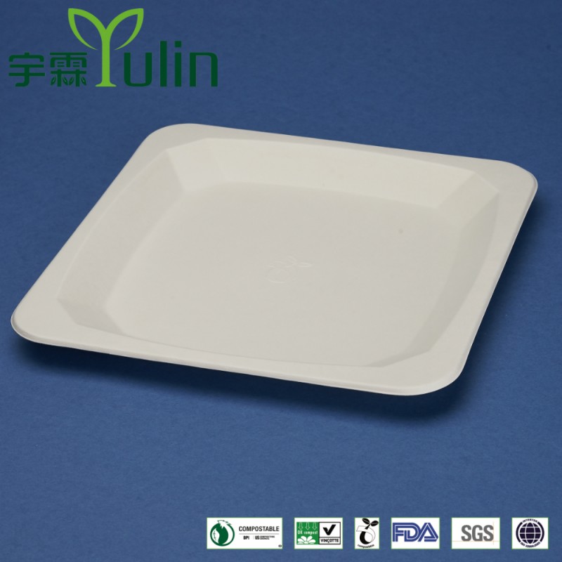Pl-10-s/pl-06-s10/6" 使い捨てサトウキビ食器皿-皿類問屋・仕入れ・卸・卸売り