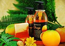 Shower Gel - Orange Natural Organic Shower Gel 250 ml.問屋・仕入れ・卸・卸売り