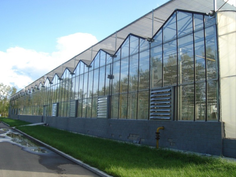 フェンロガラスの温室のための強化ガラス問屋・仕入れ・卸・卸売り