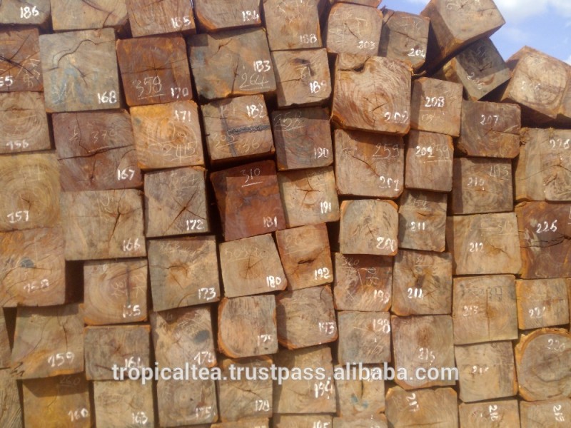 ビッグサイズは丸太カンボジアからの木材の木材問屋・仕入れ・卸・卸売り