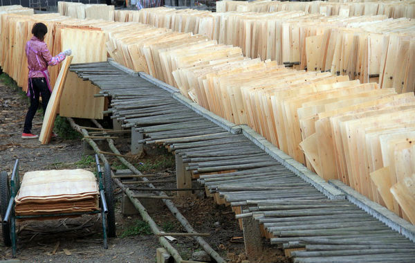 ベトナムユーカリのコアのベニヤ合板用問屋・仕入れ・卸・卸売り